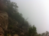 Grand Canyon im Nebel/Wolken/Regen
