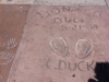 Donald Duck was here ...
