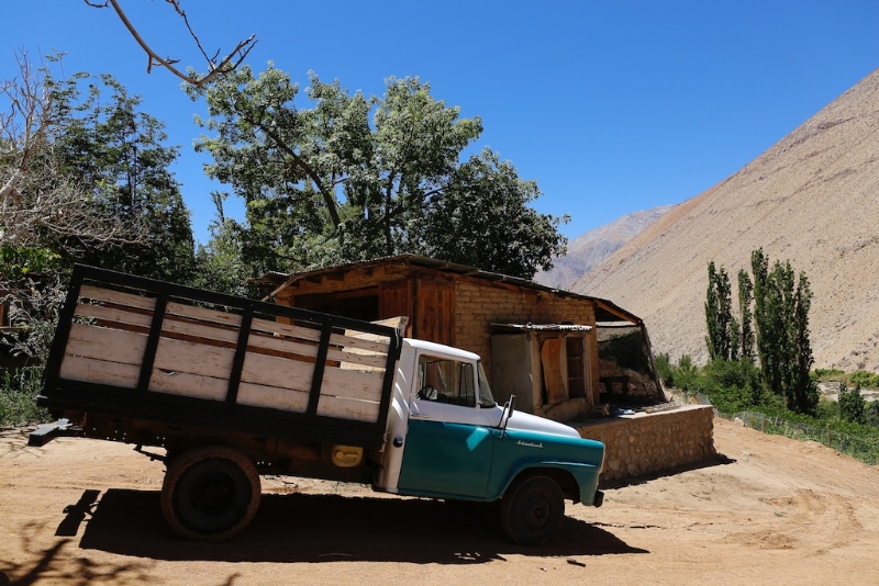 Ausflug ins Elqui Tal