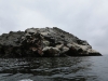 Ausflug zum Nationalreservat Punta Choros / Bootsfahrt zur Isla Damas