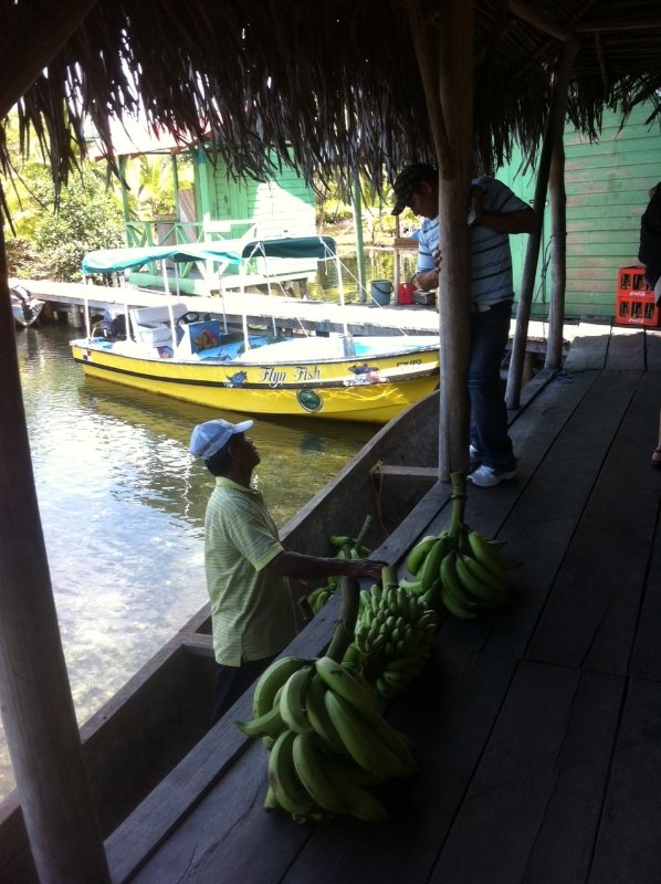 Bananenverkäufer
