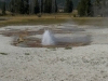 Impressionen Yellowstone National Park